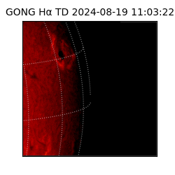 gong - 2024-08-19T11:03:22