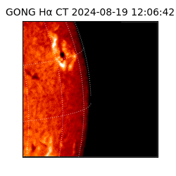 gong - 2024-08-19T12:06:42
