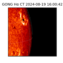 gong - 2024-08-19T16:00:42