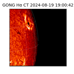 gong - 2024-08-19T19:00:42