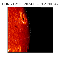 gong - 2024-08-19T21:00:42