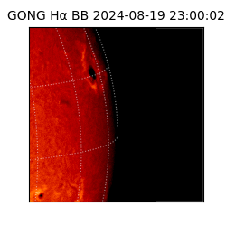 gong - 2024-08-19T23:00:02