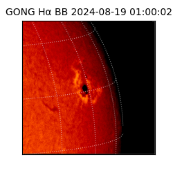 gong - 2024-08-19T01:00:02