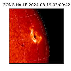 gong - 2024-08-19T03:00:42