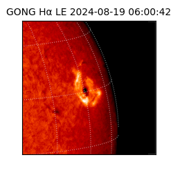 gong - 2024-08-19T06:00:42