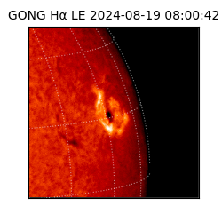 gong - 2024-08-19T08:00:42