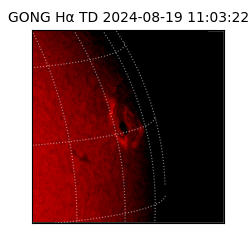 gong - 2024-08-19T11:03:22