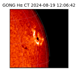 gong - 2024-08-19T12:06:42