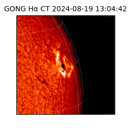 gong - 2024-08-19T13:04:42