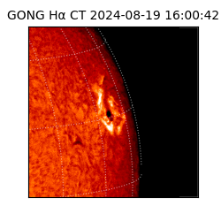 gong - 2024-08-19T16:00:42