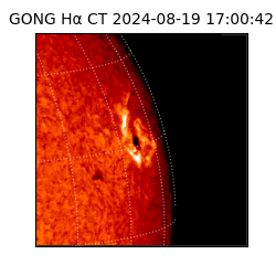 gong - 2024-08-19T17:00:42