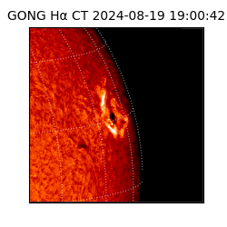 gong - 2024-08-19T19:00:42