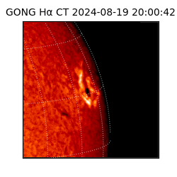 gong - 2024-08-19T20:00:42