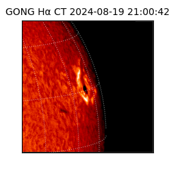 gong - 2024-08-19T21:00:42