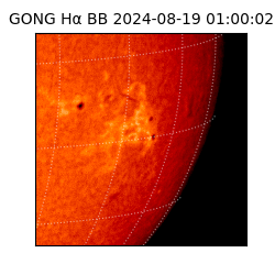 gong - 2024-08-19T01:00:02