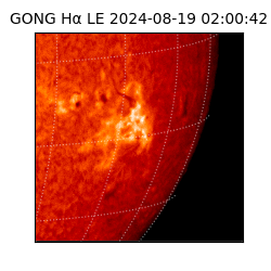 gong - 2024-08-19T02:00:42