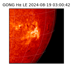 gong - 2024-08-19T03:00:42