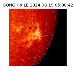 gong - 2024-08-19T05:00:42