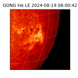 gong - 2024-08-19T06:00:42