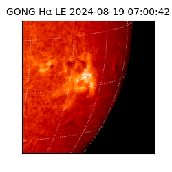 gong - 2024-08-19T07:00:42