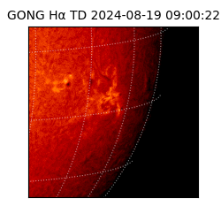 gong - 2024-08-19T09:00:22