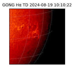 gong - 2024-08-19T10:10:22