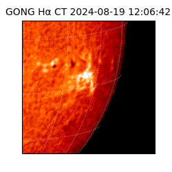 gong - 2024-08-19T12:06:42