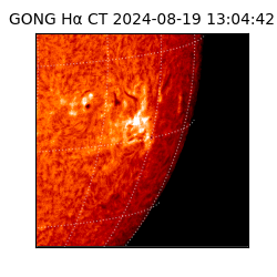 gong - 2024-08-19T13:04:42