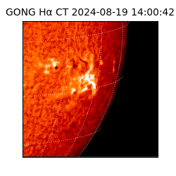 gong - 2024-08-19T14:00:42