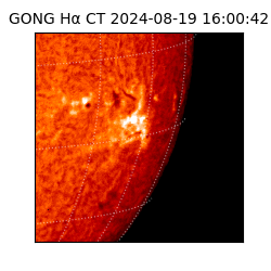 gong - 2024-08-19T16:00:42