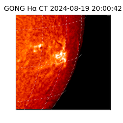 gong - 2024-08-19T20:00:42