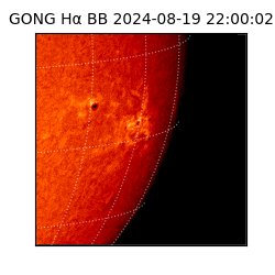 gong - 2024-08-19T22:00:02