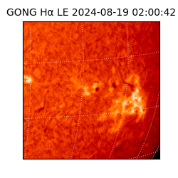 gong - 2024-08-19T02:00:42