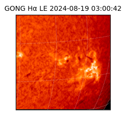 gong - 2024-08-19T03:00:42