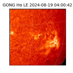 gong - 2024-08-19T04:00:42