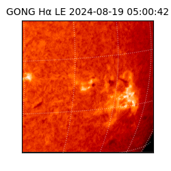 gong - 2024-08-19T05:00:42