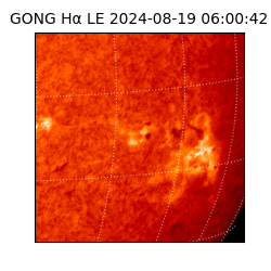 gong - 2024-08-19T06:00:42