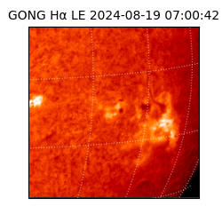 gong - 2024-08-19T07:00:42