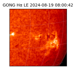 gong - 2024-08-19T08:00:42