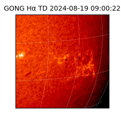 gong - 2024-08-19T09:00:22