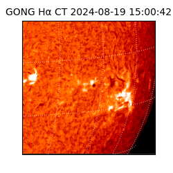 gong - 2024-08-19T15:00:42