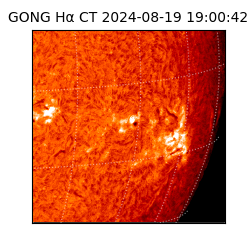 gong - 2024-08-19T19:00:42