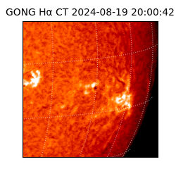 gong - 2024-08-19T20:00:42