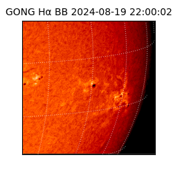 gong - 2024-08-19T22:00:02