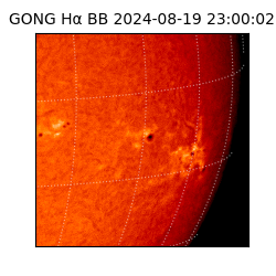 gong - 2024-08-19T23:00:02