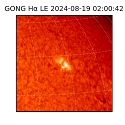 gong - 2024-08-19T02:00:42