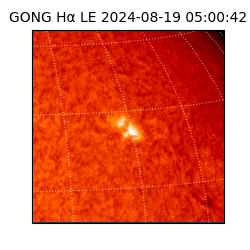 gong - 2024-08-19T05:00:42