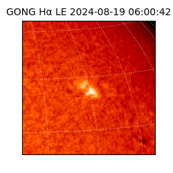 gong - 2024-08-19T06:00:42