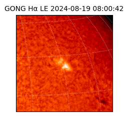 gong - 2024-08-19T08:00:42