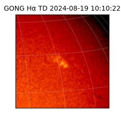 gong - 2024-08-19T10:10:22